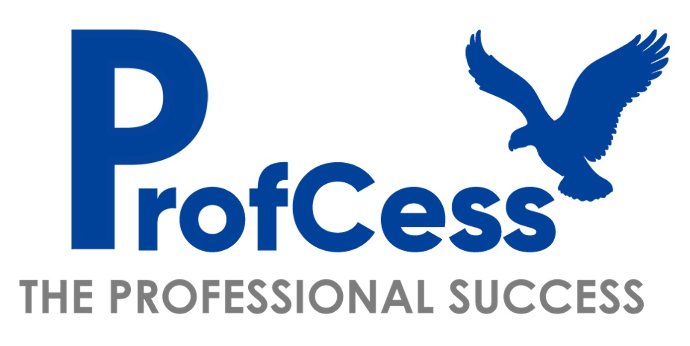 ProfCess Internship